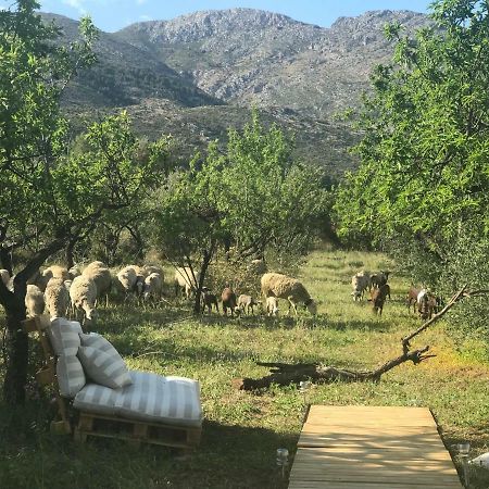 Casa La Plana Villa Orba Esterno foto